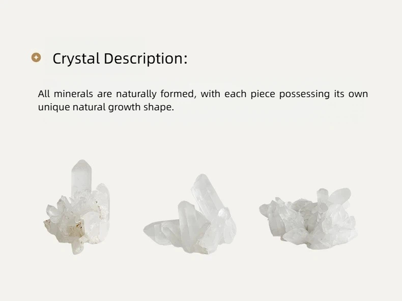 Handcrafted Celestite Crystal Decor – Minimalist Meditation Garden - Image 4