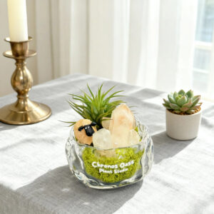 Crystal Point Desktop Decor Glass Planter with Amethyst Accent