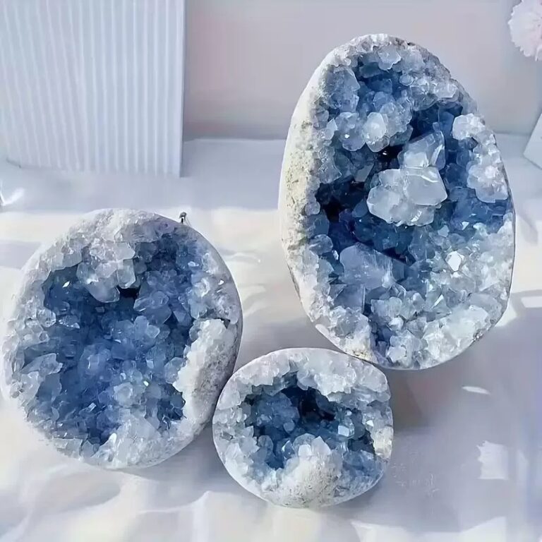 微信图片_20251224133855_437_1