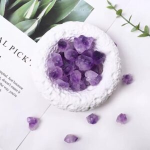 Raw Amethyst Cluster - Natural Lavender Purple Crystal