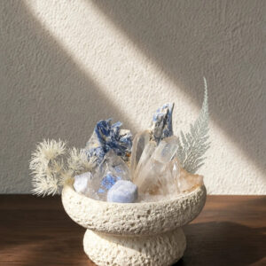 Kyanite & Clear Quartz Crystal Garden Decor
