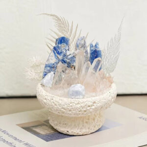 Kyanite & Clear Quartz Crystal Garden Decor