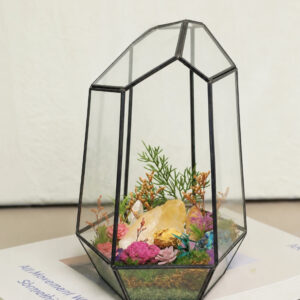 Crystal Terrarium House Display - Natural Quartz Garden